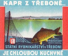 zdejsi11-1.jpg zdejsi11-1.jpg