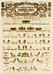 4-letak-thonet-1866.jpg 4-letak-thonet-1866.jpg