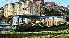 2-zelene-pivo-2.jpg 2-zelene-pivo-2.jpg
