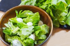 2-hlavkovy-salat-s-jogurtem.jpeg 2-hlavkovy-salat-s-jogurtem.jpeg