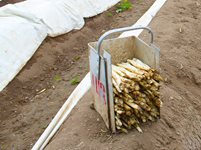 3-chrest.jpg 3-chrest.jpg