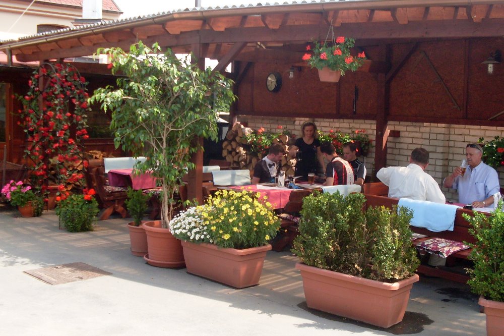 Restaurace Mlýnský domov
